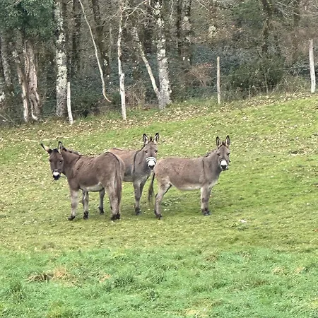Le Nid Douillet Σπίτι διακοπών Chirac (Charente)